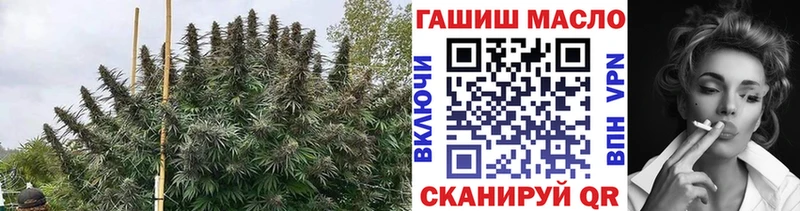Купить  Кандалакша  ТГК концентрат 