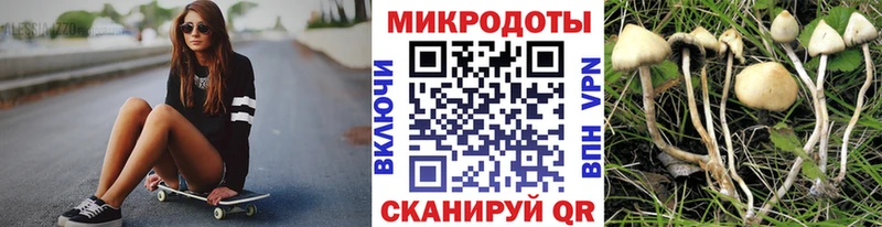 Купить  Кандалакша  Псилоцибиновые грибы GOLDEN TEACHER 